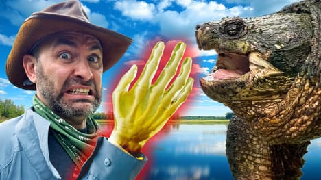 Can a Snapping Turtle Bite Break a Human Hand?