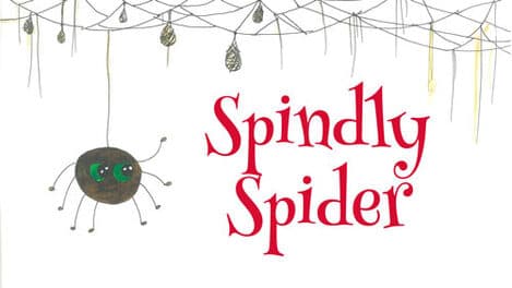 Spindly Spider