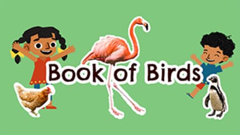Introduction to Birds