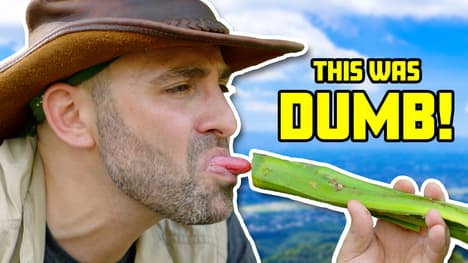 Scorched by the Dumb Cane!