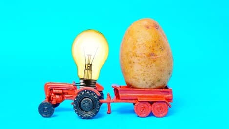 Science Experiment: Potato Battery