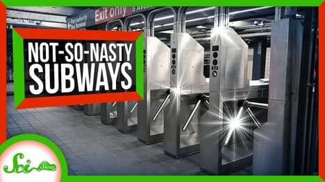 New York City's Microbiome