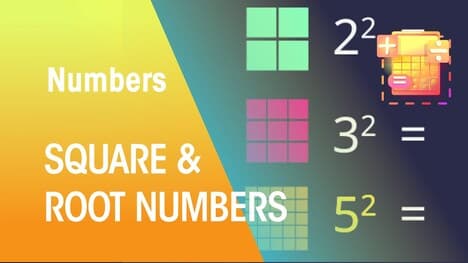 What Are Square & Root Numbers | Numbers | Maths