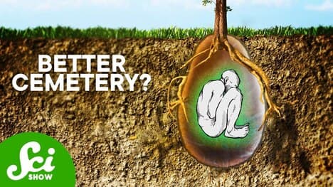 How to Dispose of a Body