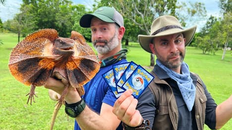 Would You Enter a Dragon Infested Park?