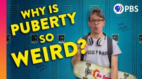 Why is Puberty so Weird?