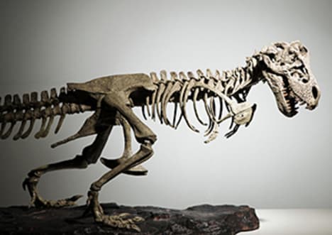 What Causes Extinction?