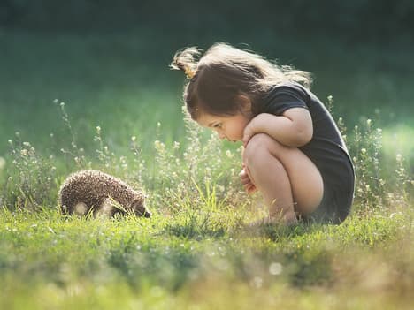 The Importance of Order and Keeping Things Tidy