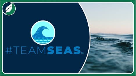 #TeamSeas- why it matters to me