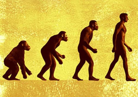 Evolution - Gradual Species Change