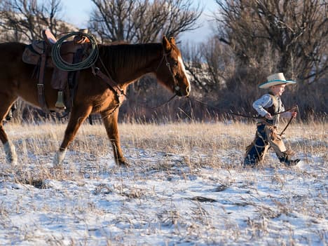 Learning the Importance of Moderation