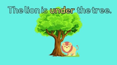 Prepositions ESL Guessing Game | Beginners, Kindergarten | in, on, under