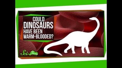 Could Dinosaurs Have Been Warm-Blooded?