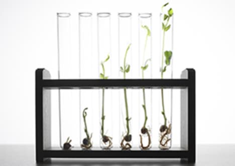 Bioaccumulation in Food Chains