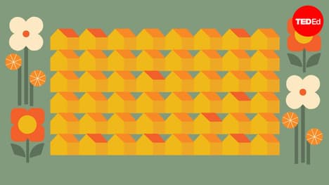 The century-old technology that could change the world | Rachel Yang