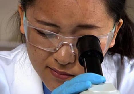 Plant vs Animal Cells