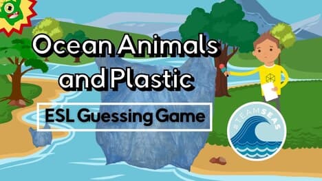 Sea Animals Affected by Plastic Pollution | #TeamSeas | ESL Guessing Game