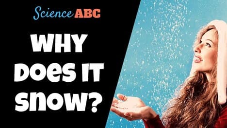 Where Does Snow Come From?