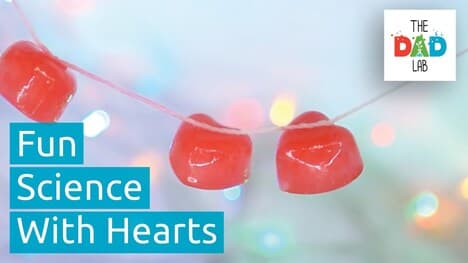 Science Experiment: Ice Hearts