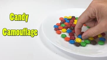 Candy Camouflage