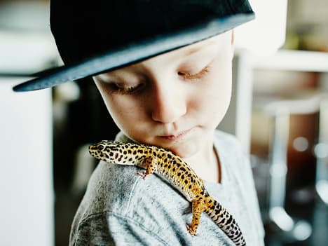 The Power of Tenacity: Nasima's Journey to Becoming a Dancer