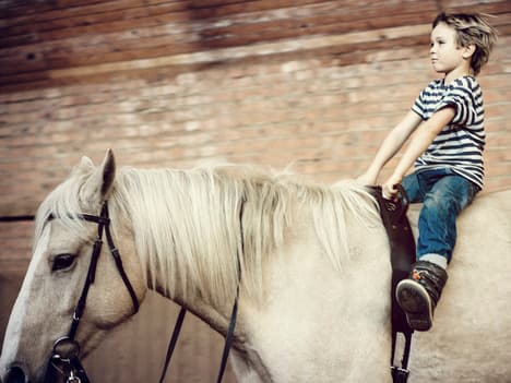 Exploring Independence: Life of a Cat and the Value of Making Decisions