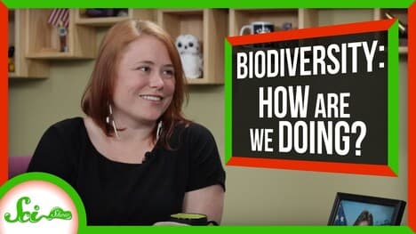 The IPBES Report with Brit Garner | SciShow Talk Show