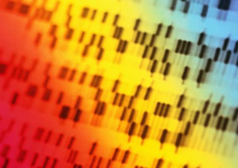 Forensics: DNA Profiling