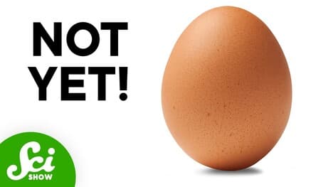 How Do Eggs Know When to Hatch?