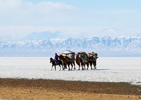 Extreme Living: Nomads