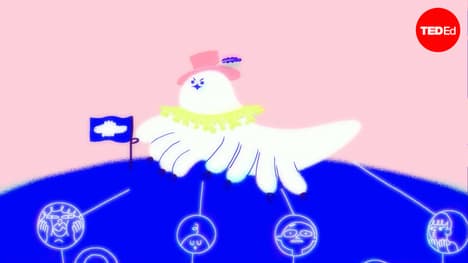 Yes, tiny mites live on your face — but is that a bad thing? | M. Alejandra Perotti