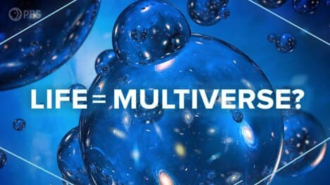 Does Life Need a Multiverse to Exist?