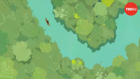 TED-Ed: The largest river on Earth is actually in the sky | Iseult Gillespie