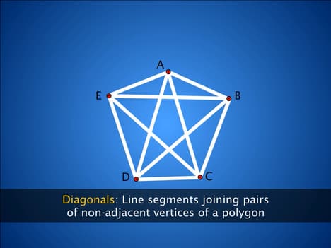 Curves and Their Types