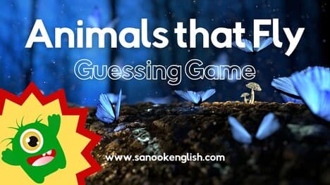 Animals that Fly English Vocabulary Guessing game