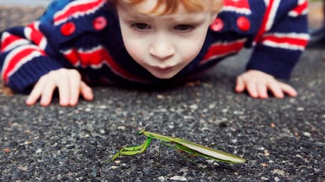 The Importance of Unity: Lessons from Raffi the Rabbit