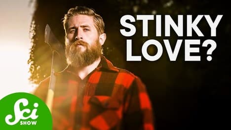 How Pheromones Work in Humans