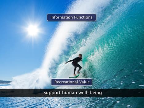 Ecosystem-Structure and Function