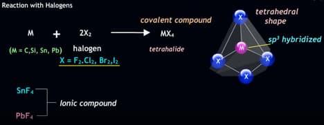 Chemical Reactivity Group IV Elements Reaction with Halogens and the Inert Pair Effect