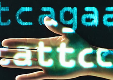 How Does DNA Make Protein?