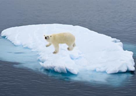 State of the Greenland Ice Sheet