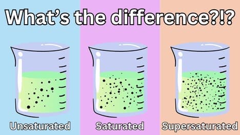 The 3 Different Types of Solutions EXPLAINED!