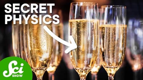 Why Are Champagne Bubbles So Tidy?