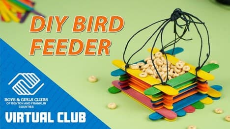 DIY Project: How To Make A Popsicle Stick Bird Feeder