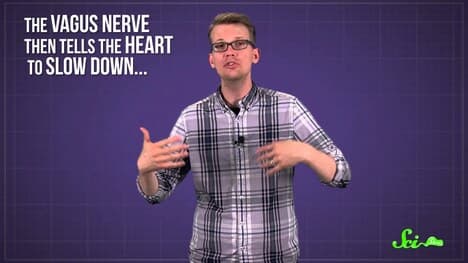 What Happens When You Faint?