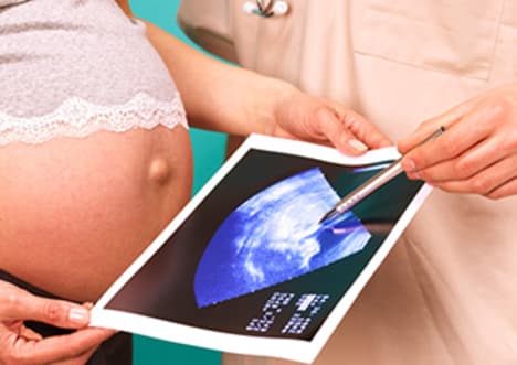 Factpack: Pregnancy Timeline