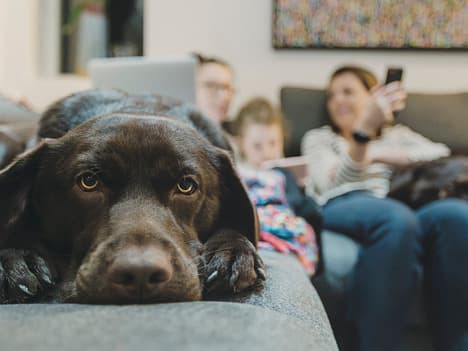 The Power of Encouragement