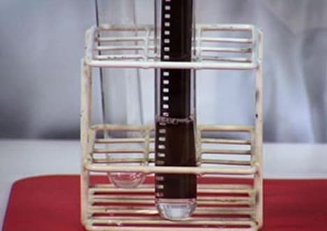 Enzyme Action: Trypsin