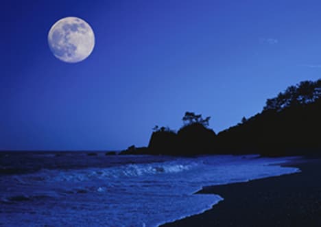 The Moon and Spring Tides