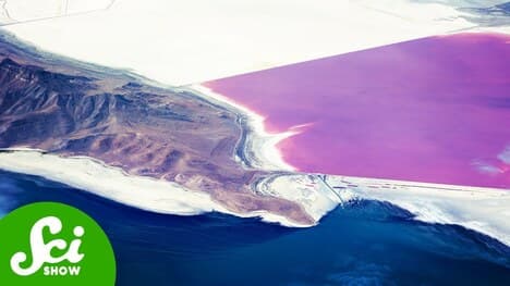 Why the Great Salt Lake is Two Completely Different Colors